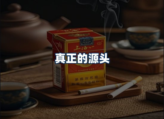 专业团队办公环境
